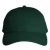 VERDE BOTELLA