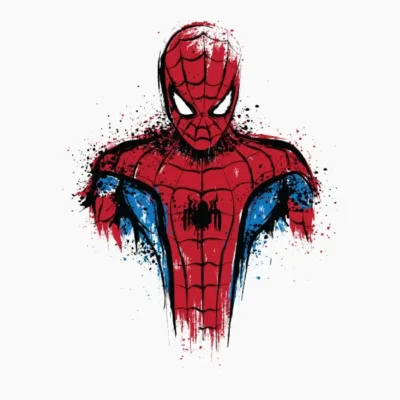 The Best Spider