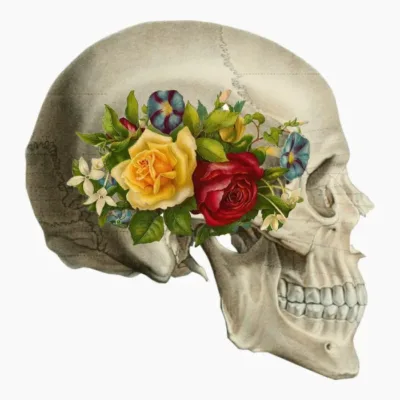 Vintage Skull