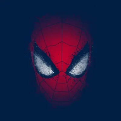 Spider inside