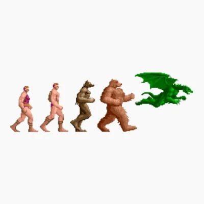 Evolución