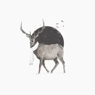 Winter Is All Around 2