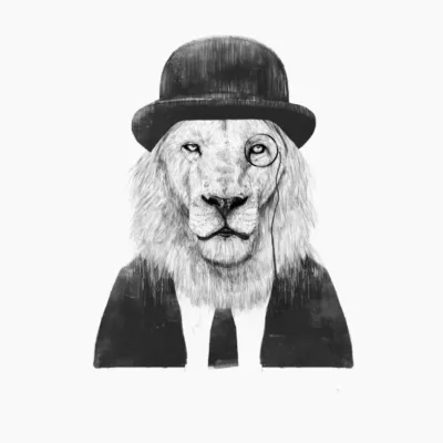 Mr Lion