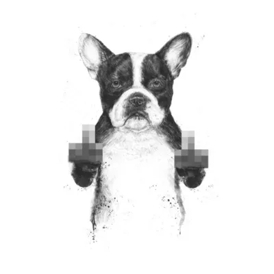Censored dog