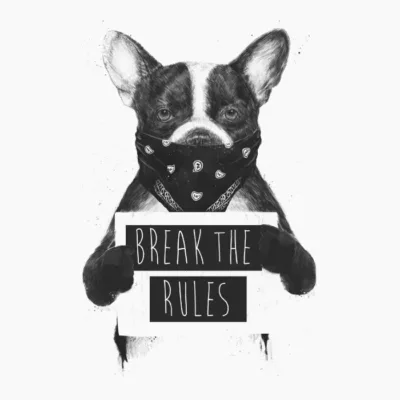 Rebel dog