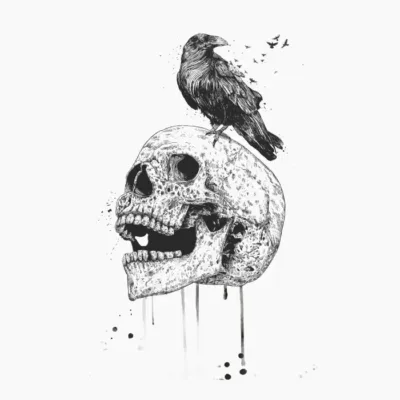 New skull