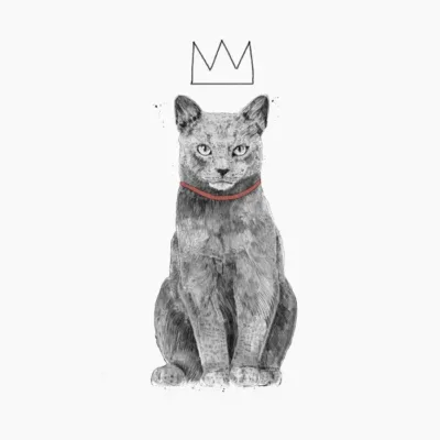 King of everything