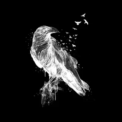 Born to be free II