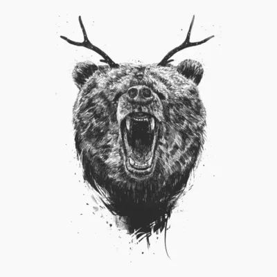 Angry bear
