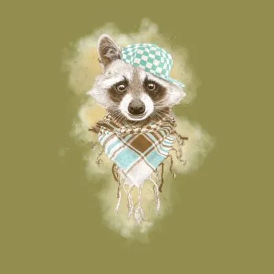 Rocco Raccoon Earth