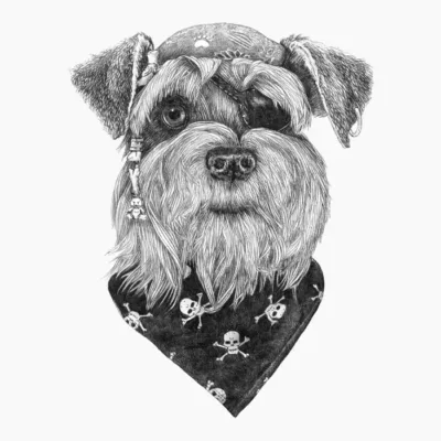 Pirate Dog