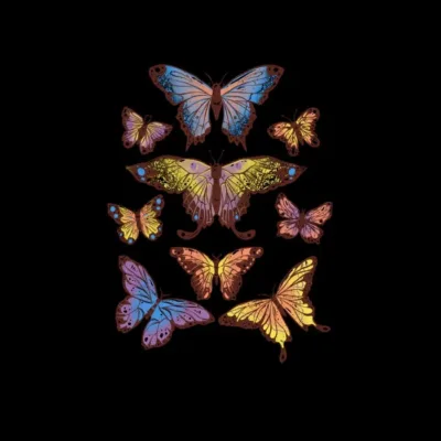 Butterflies