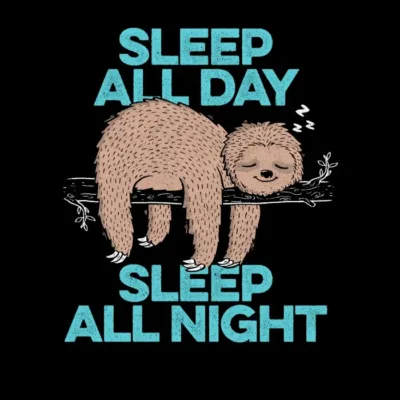 Sleep All Day All Night