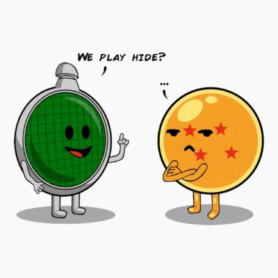 We Play Hide