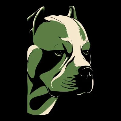 Pitbull Cara Frente