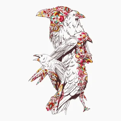 White Ravens