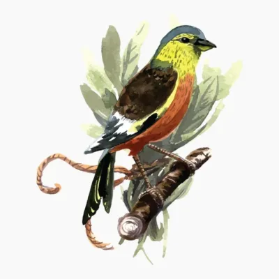 Bird of Nature Two
