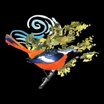Bird of Nature
