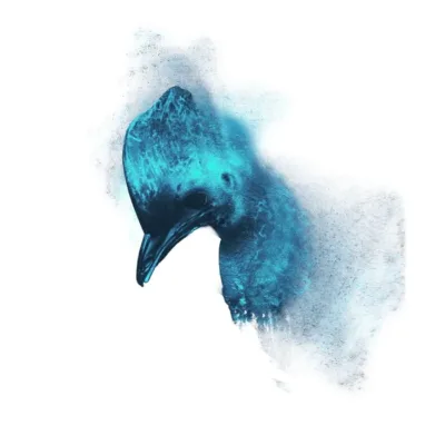Beautiful Bird