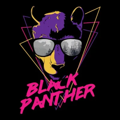 Black Panther Sun Glasses