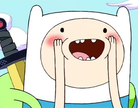 Fin