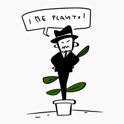 PLANTO UN