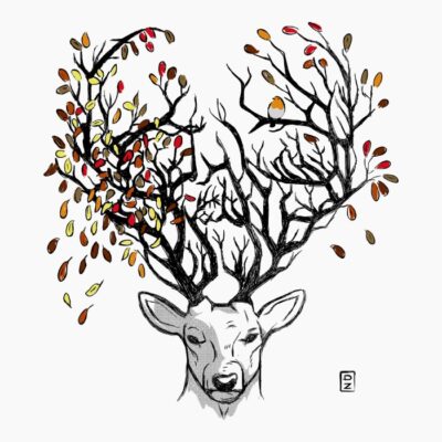 Cerf d'autonme