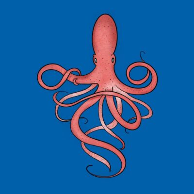 Nice PULPO