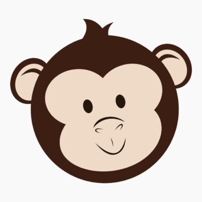 Monkeys2 Boy