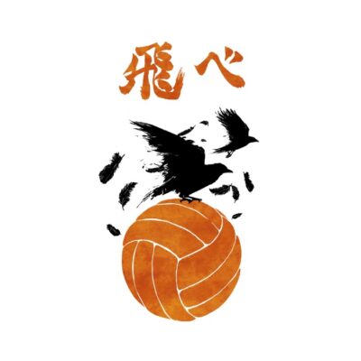 Karasuno, fly Crows