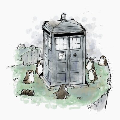 tardis in jedi island