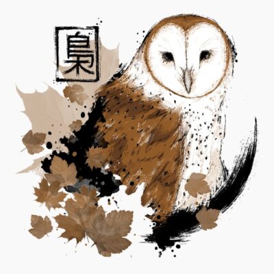 Barn Owl