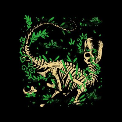 Raptor Fossils