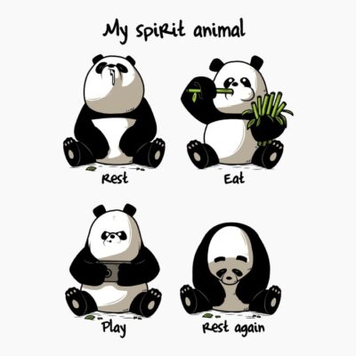 Panda2  V2