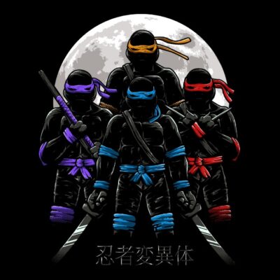 NinjaV2