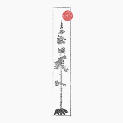 23Bear