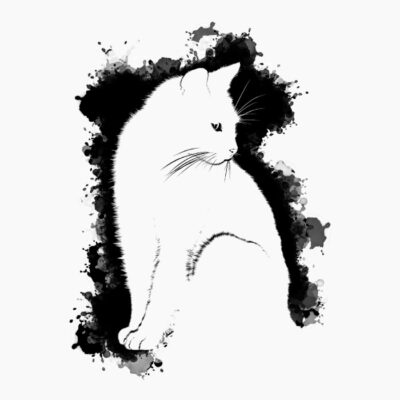 18Cat
