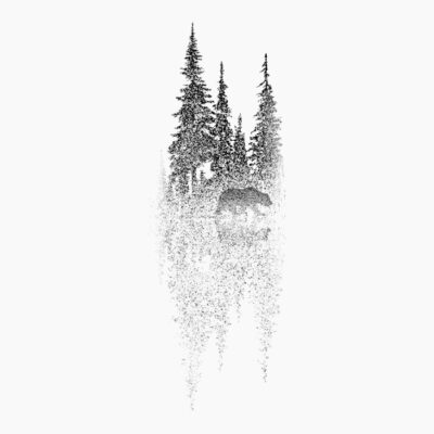 18Bear