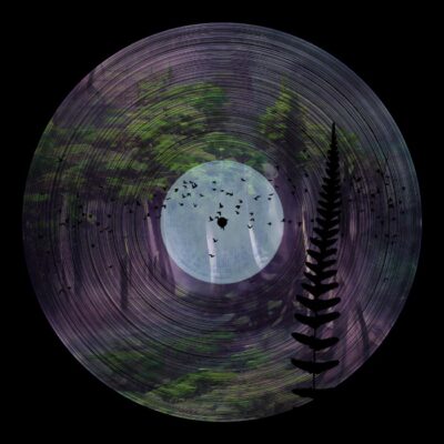 01Vinilo