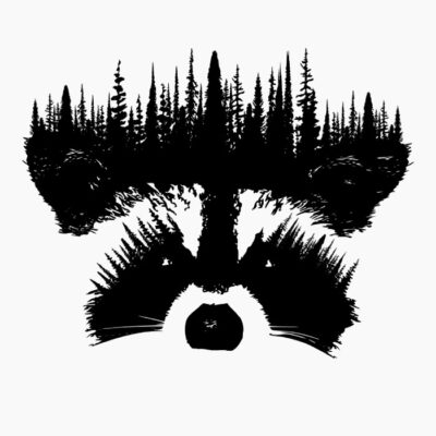 Mapache Bosque