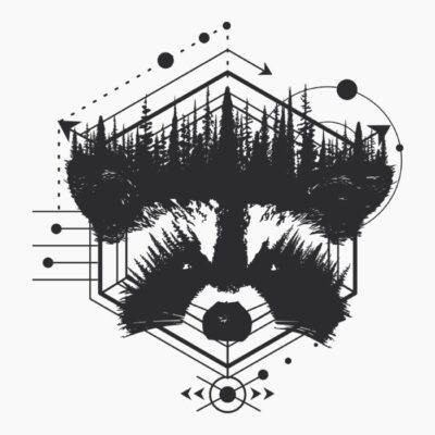 Mapache Artístico