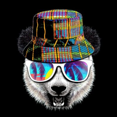 Cool panda