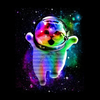 Space kitten