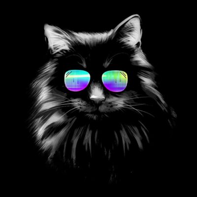 Black Cat