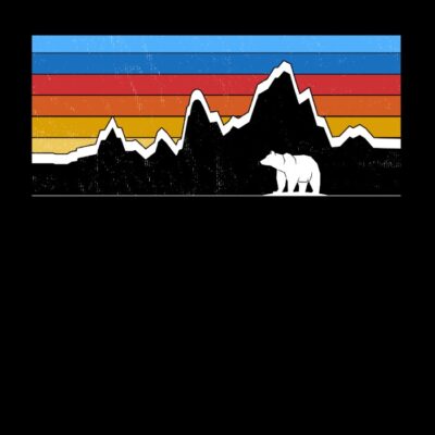 Bear adventure