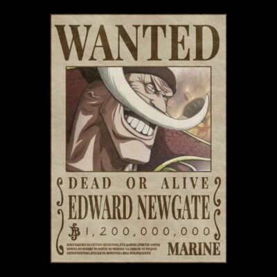 Whitebeard Wanted OP
