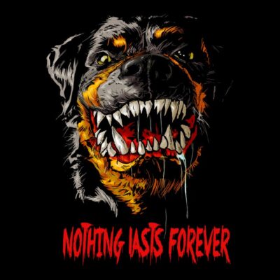 Nothing Lasts Forever