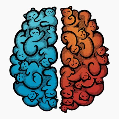 Cats In My Brain