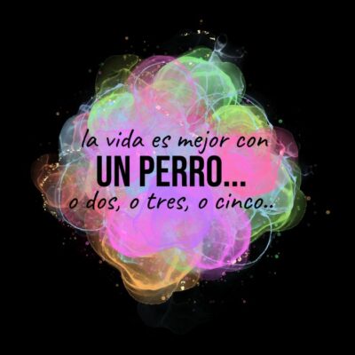 PERRO
