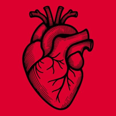 corazon 3